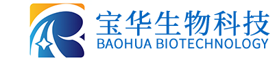 开云「中国内陆」官方网站